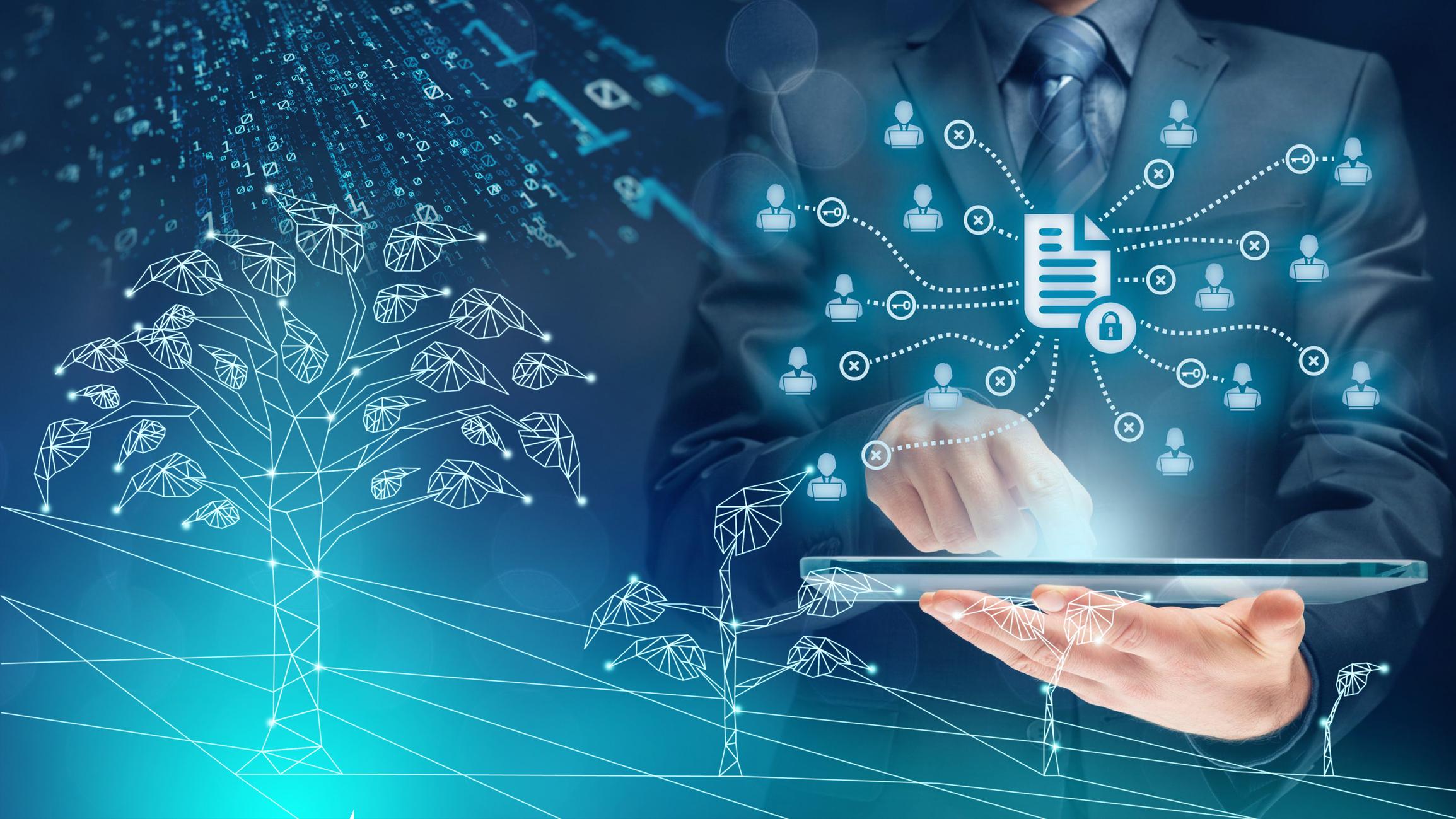 Custom software engineering and product development